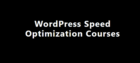 WPJohnny – WordPress Speed Optimization Courses
