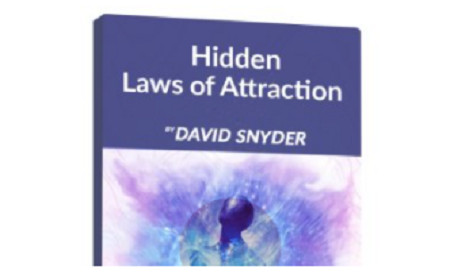 David Snyder - Hidden Laws of Attraction Webinar 2020