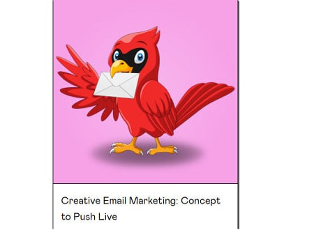 Cardinal Mason – Creative Email Marketing