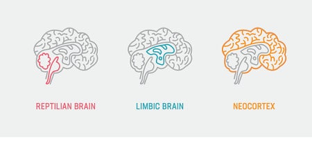 Chris Wright and Peter Tzemis - Spellbound-Storytelling For Action