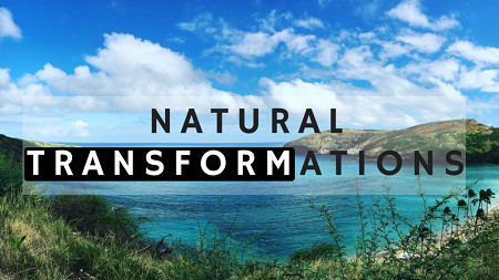 Justin Marc - Natural Transformations