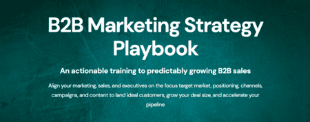 Zinkevich & Blagojevic – B2B Marketing Strategy Playbook