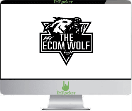 The Ecom Wolf Pack – Dropshipping To Branding Course